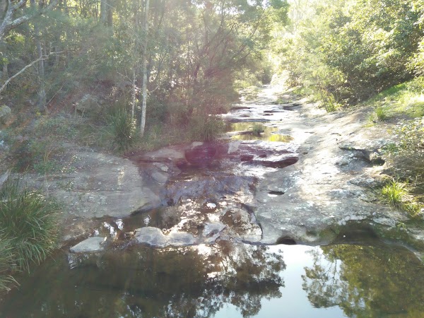 Yuelarbah Track