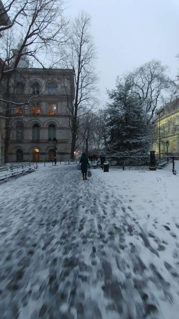 City Hall Park Path 2