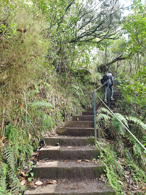Levada do Caldeirão Verde 5