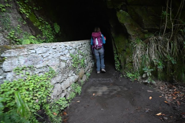 Levada do Caldeirão Verde 2