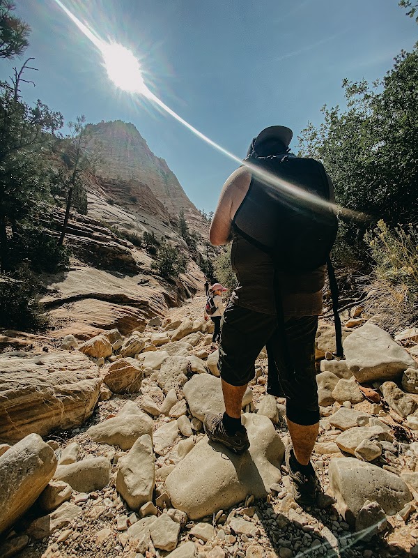 Zion Canyon Scenic Drive 2
