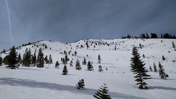 Kings Canyon Road