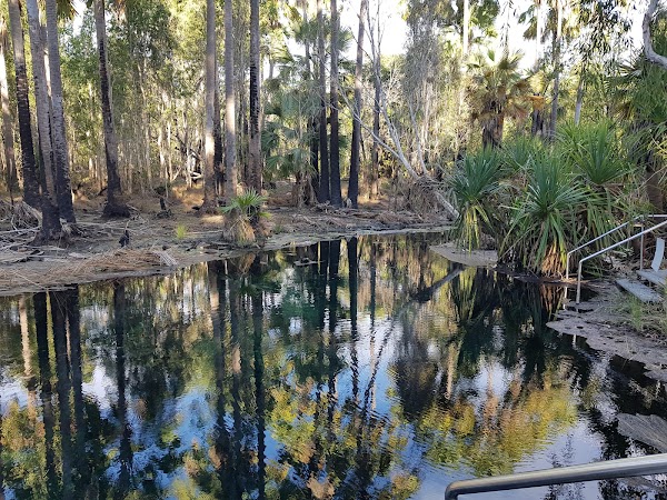 Bitter Springs