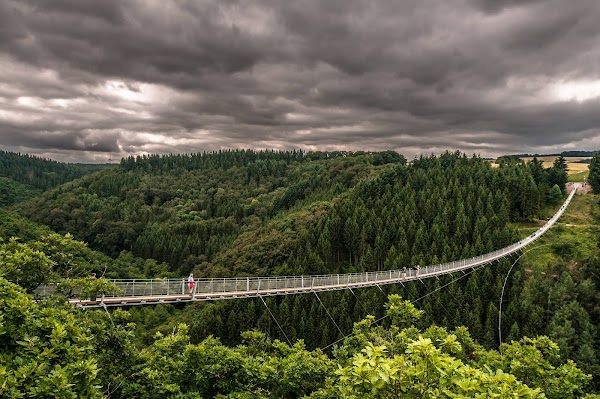 Geierlay Suspension Bridge