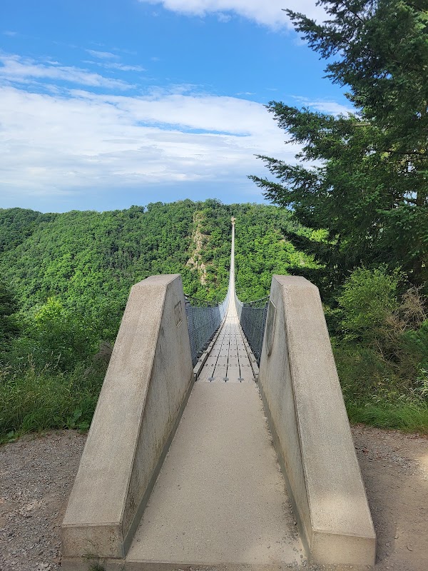 Geierlay Suspension Bridge 5