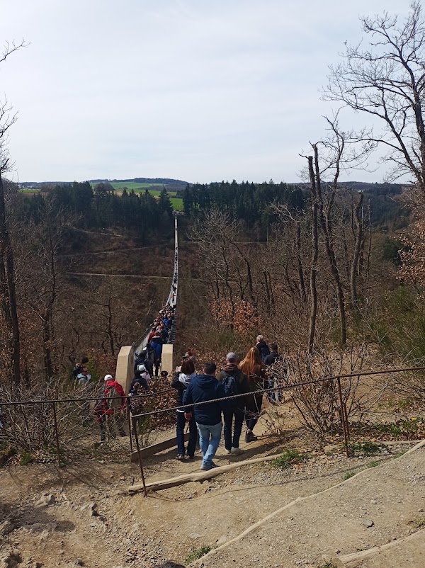 Geierlay Suspension Bridge 4