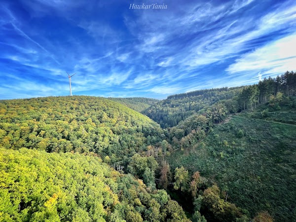 Geierlay Suspension Bridge 3