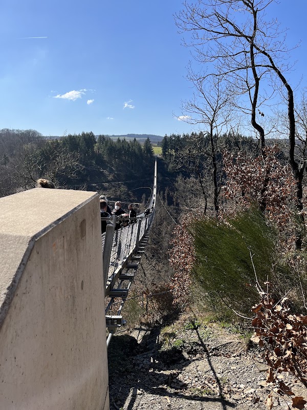 Geierlay Suspension Bridge 2
