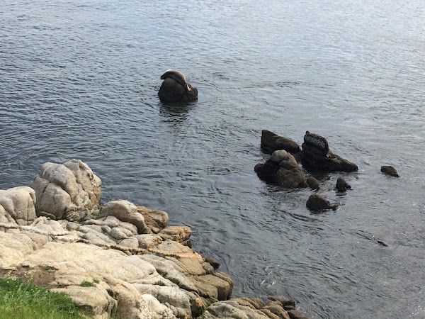 Monterey Bay Coastal Trail 3