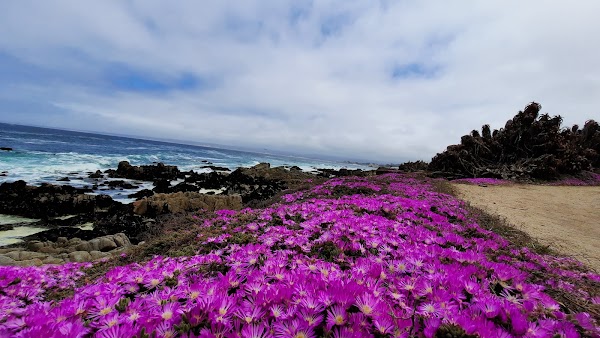 Monterey Bay Coastal Trail 2
