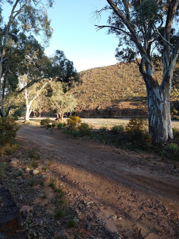 Parachilna Gorge Road