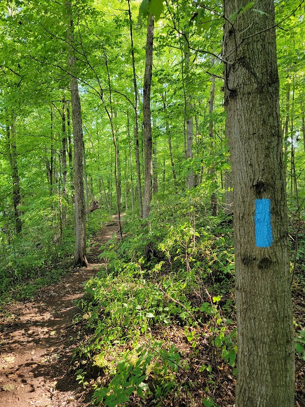 Walter Bean Grand River Trail