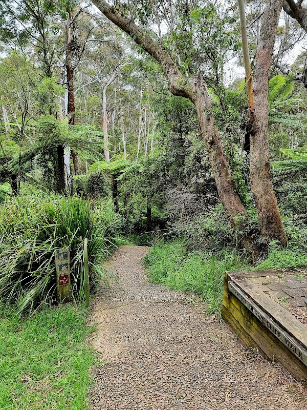Leura Cascades Walking Track 2
