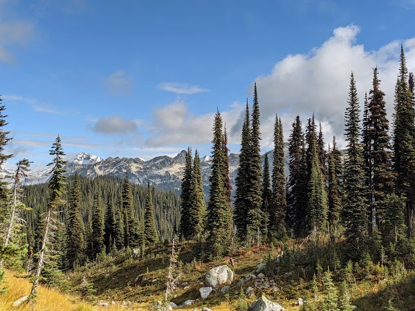 Canada Travel 45