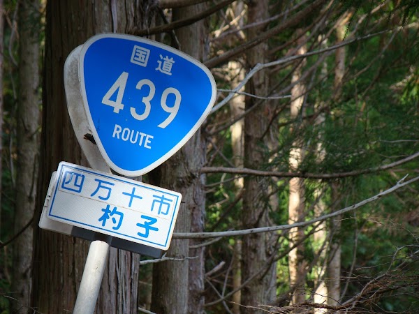 National Route 439