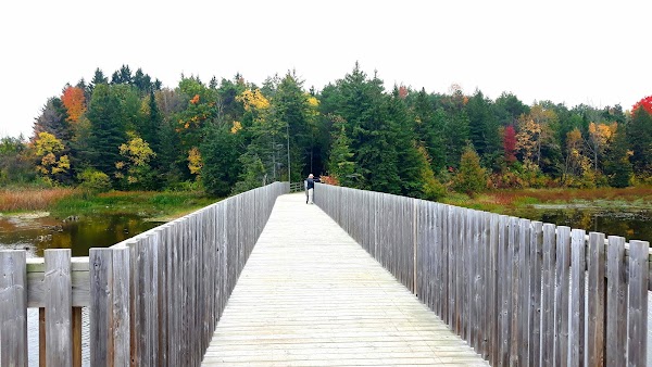 Vicki Barron Lakeside Trail 1