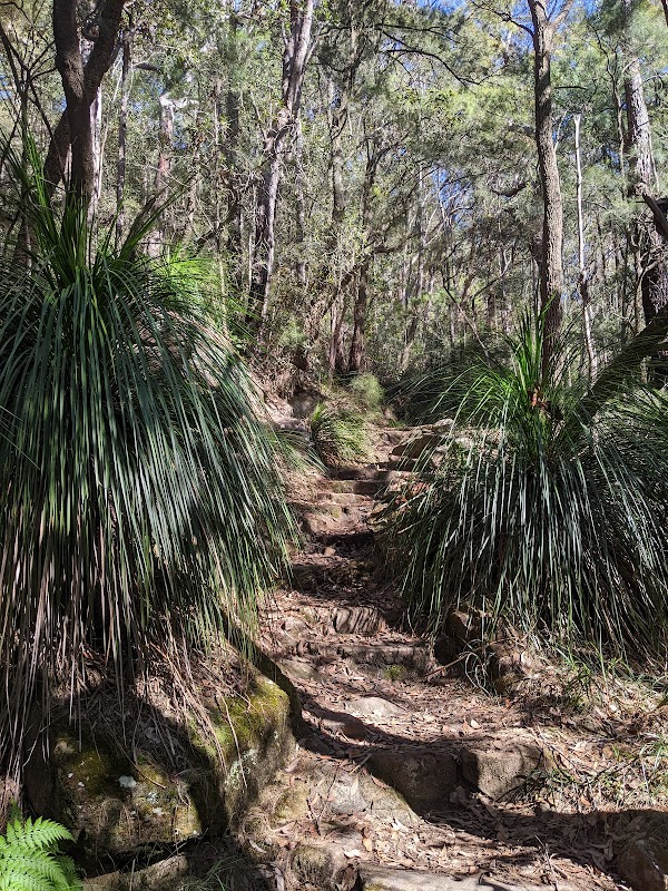Birdwood Gully Round Walk 1