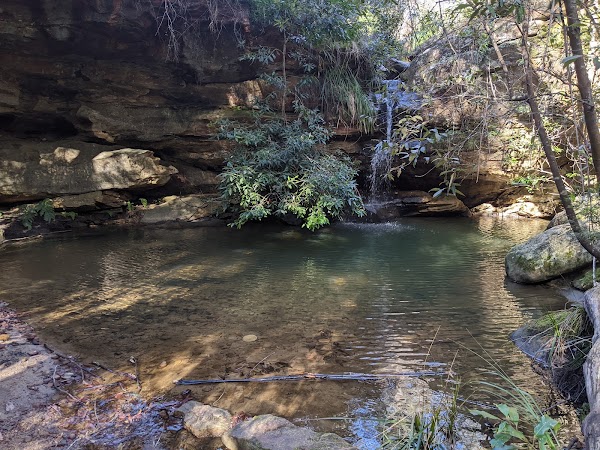 Birdwood Gully Round Walk 5