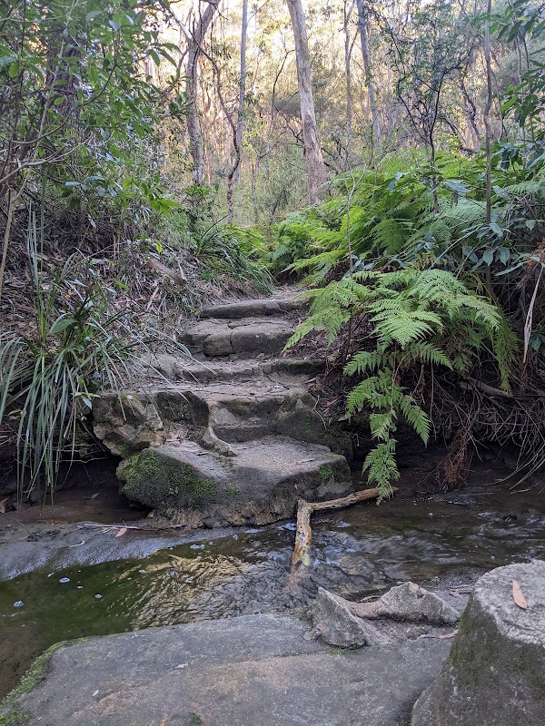 Birdwood Gully Round Walk 4