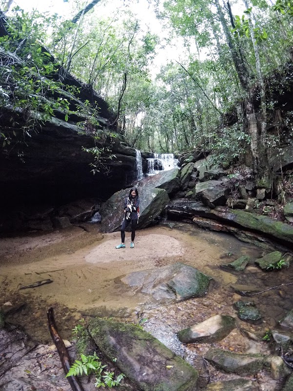 Birdwood Gully Round Walk 3