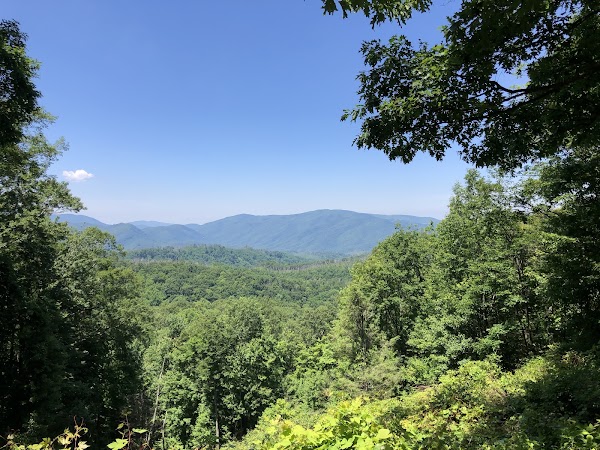 Roaring Fork Motor Nature Trail 5