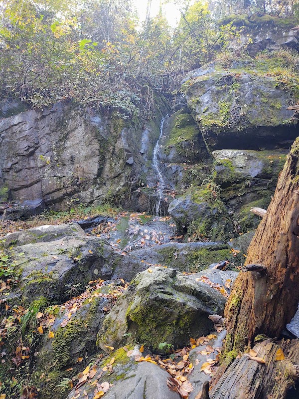 Roaring Fork Motor Nature Trail 4
