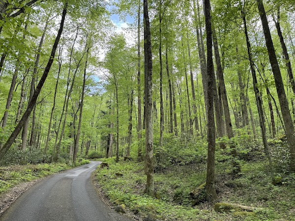 Roaring Fork Motor Nature Trail 3
