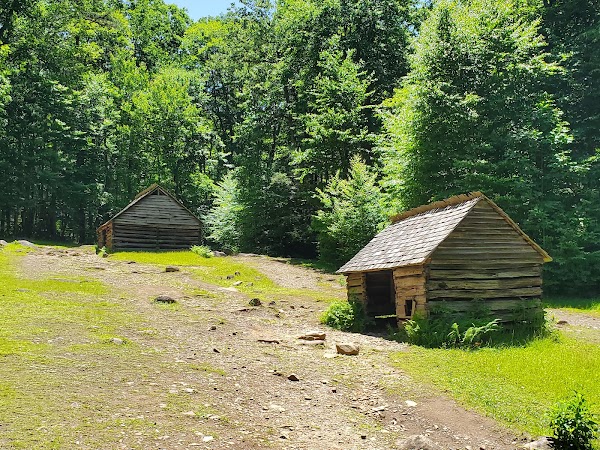 Roaring Fork Motor Nature Trail 2