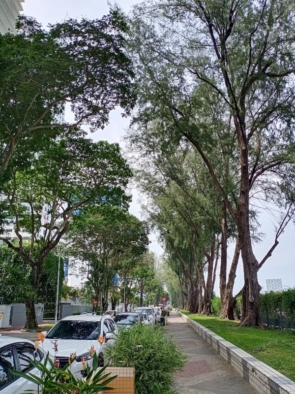 Gurney Drive 4