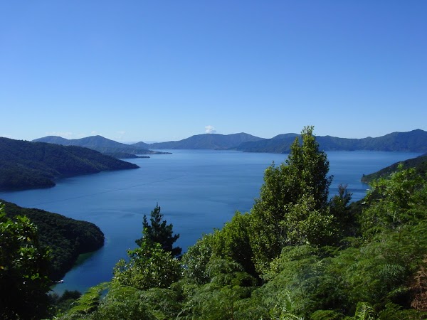 Queen Charlotte Track 1
