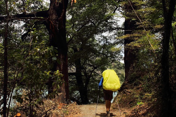 Queen Charlotte Track 5