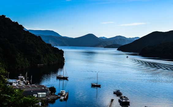 Queen Charlotte Track 4