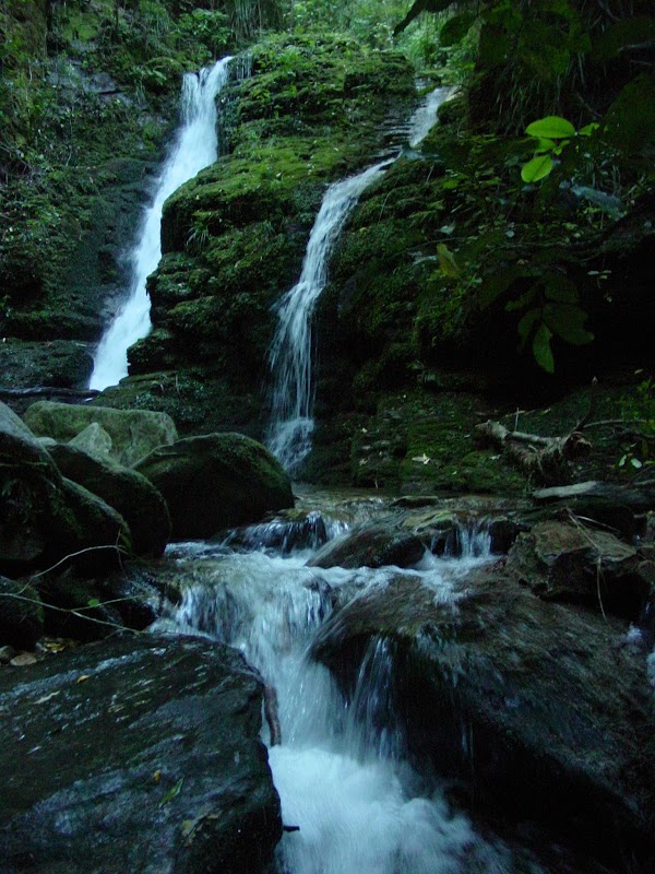 Queen Charlotte Track 2
