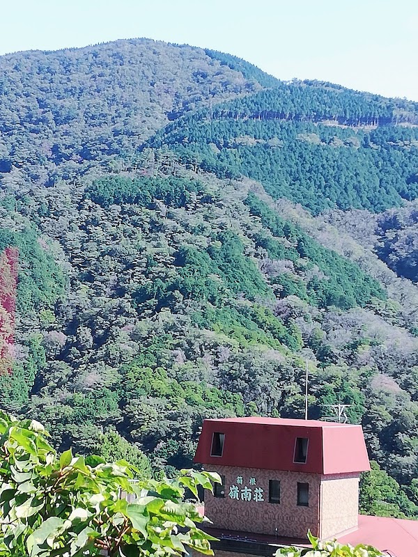 Hakone Tozan Railway 2