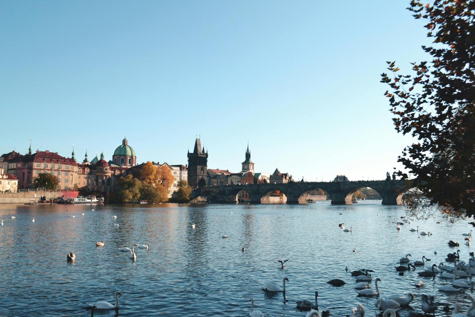 Charles Bridge 5