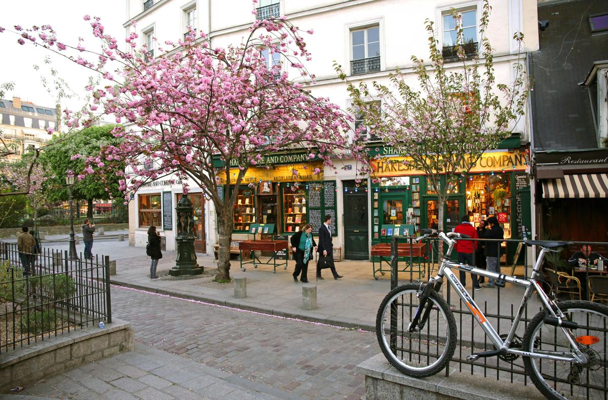Lights, Camera, Paris! A Stroll Through Cinematic Charm 3