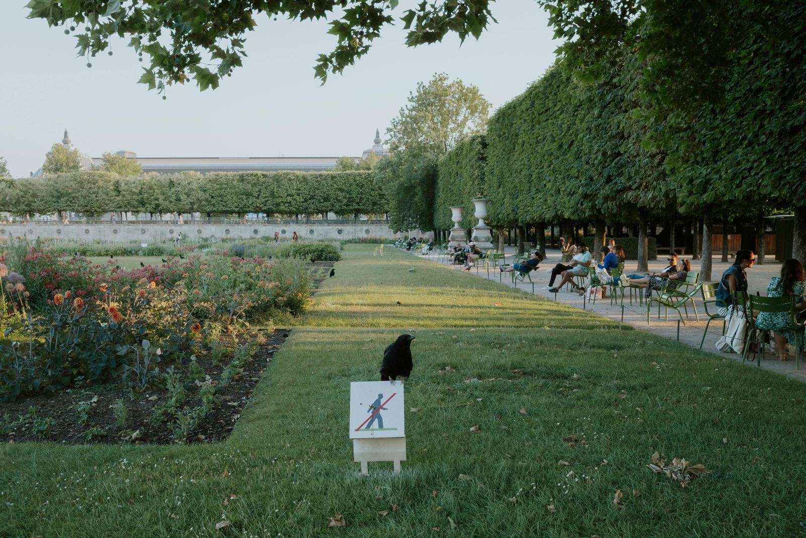 Tuileries Garden 1