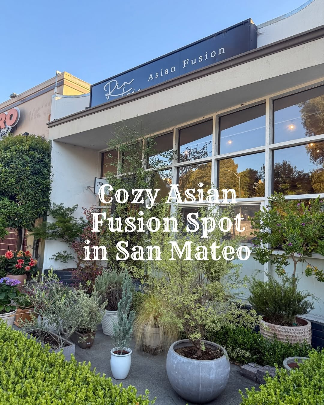 Rin-Tei: Asian Fusion Restaurant in San Mateo
