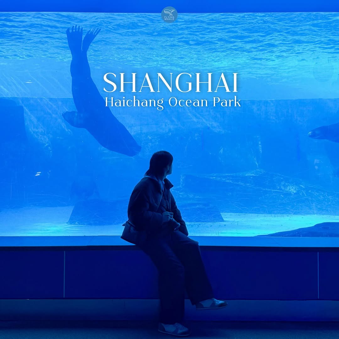 Shanghai Haichang Ocean Park: Aquarium And Amusement Park