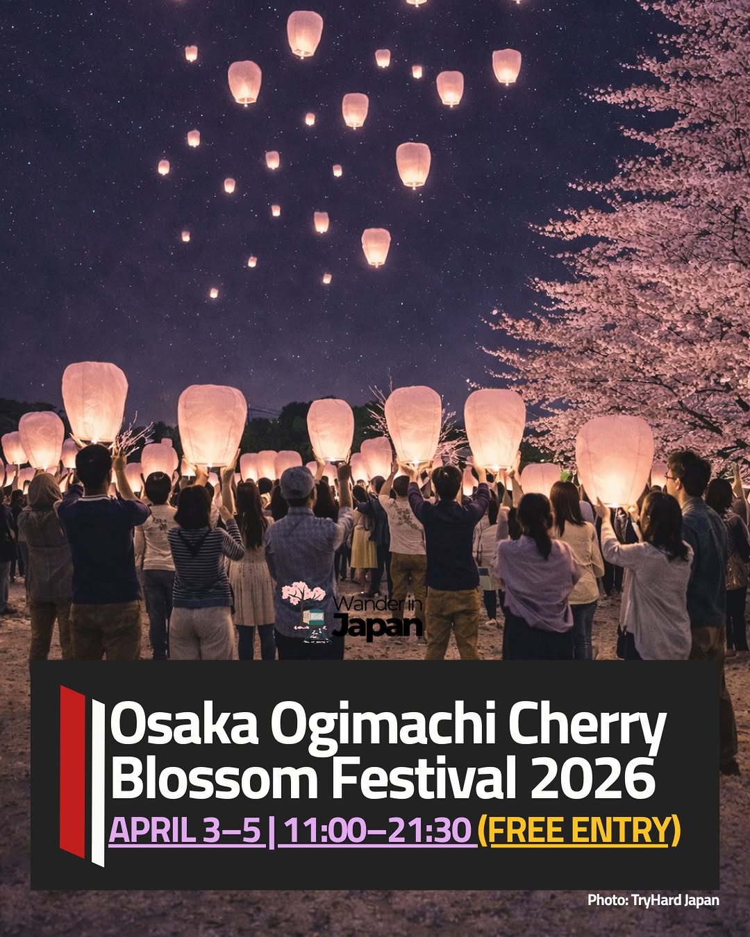 Ogimachi Park Cherry Blossom Festival