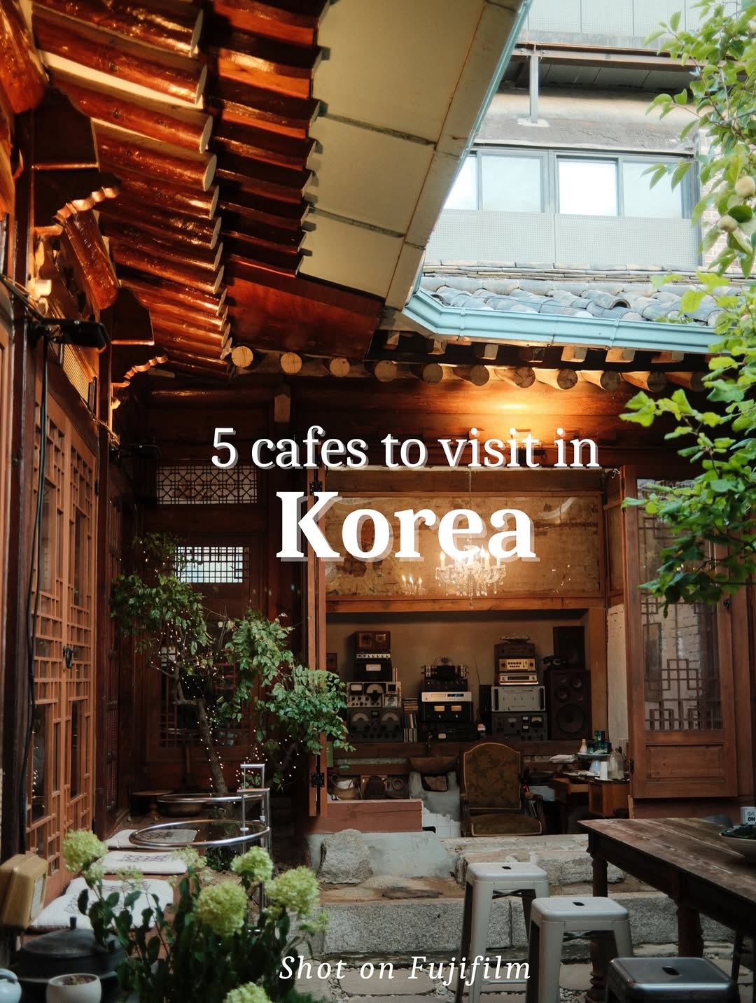 Top 5 Cafes in Korea: Decor, Vibe, and Food