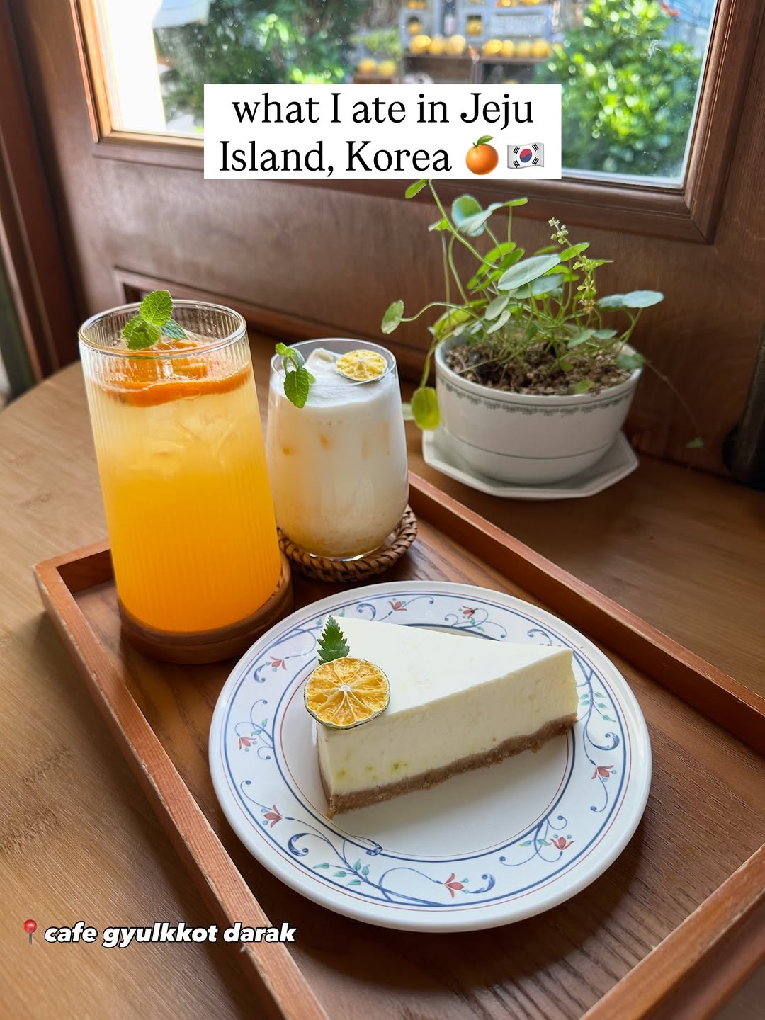 Jeju Island Food and Drink Guide