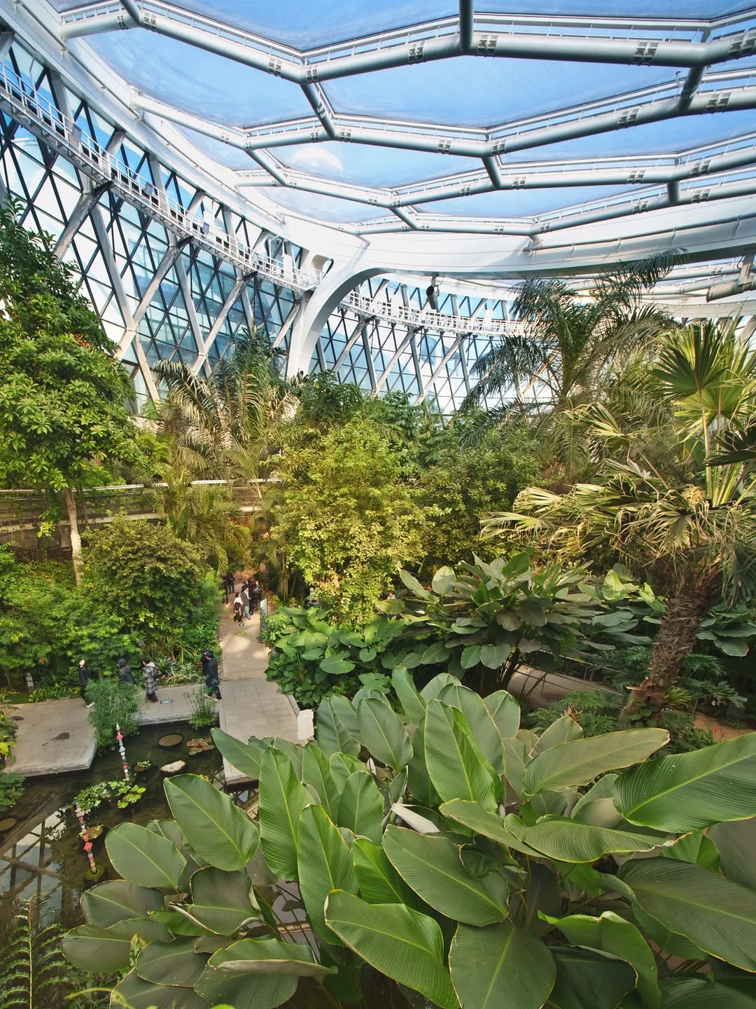 Seoul Botanic Park Offers Winter Greenery and Art