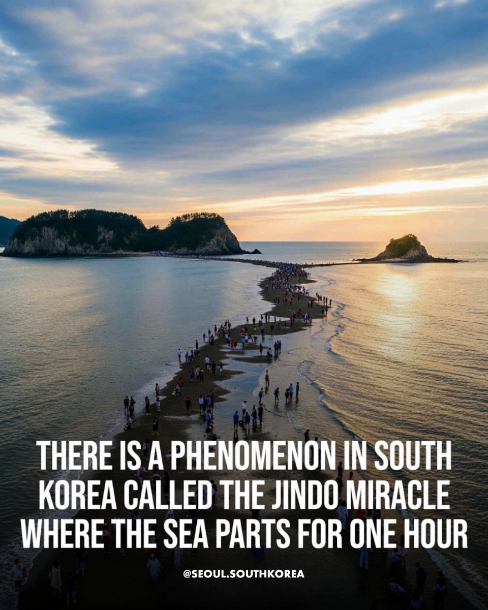 Korean Islands Reveal Sea Road During Tidal Event