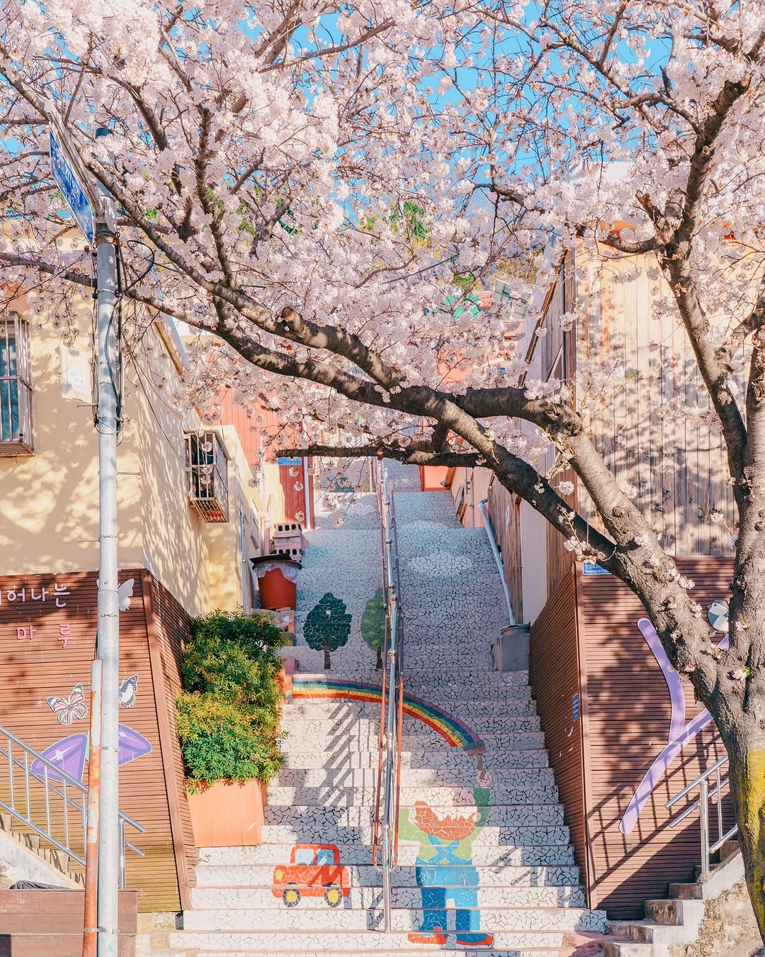Offbeat Korean Spots For Cherry Blossom Season