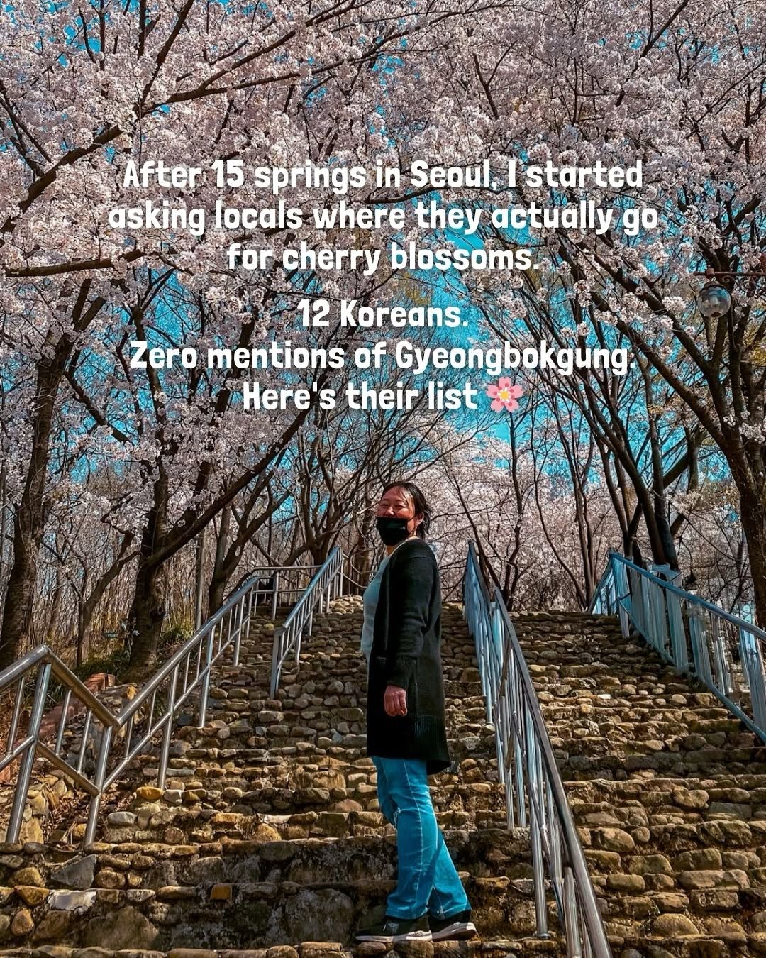 Best Cherry Blossom Spots Recommended By Koreans