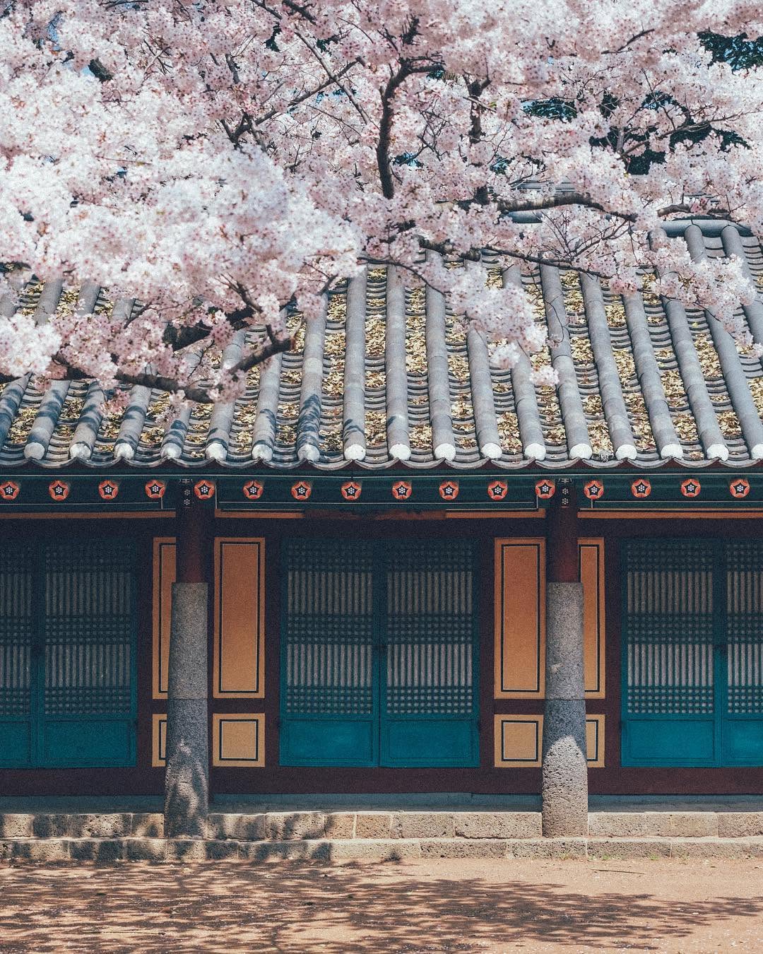 Samseonghyeol: A Jeju Island Landmark