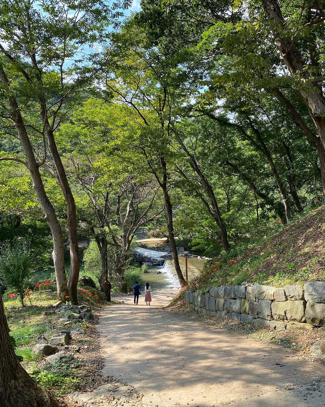 Magoksa Temple: Forest Walk and River Serenity