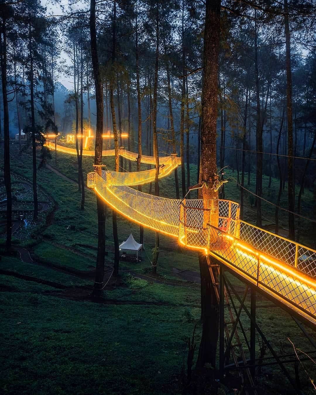 Orchid Forest Cikole: Indonesia's Vast Orchid Haven