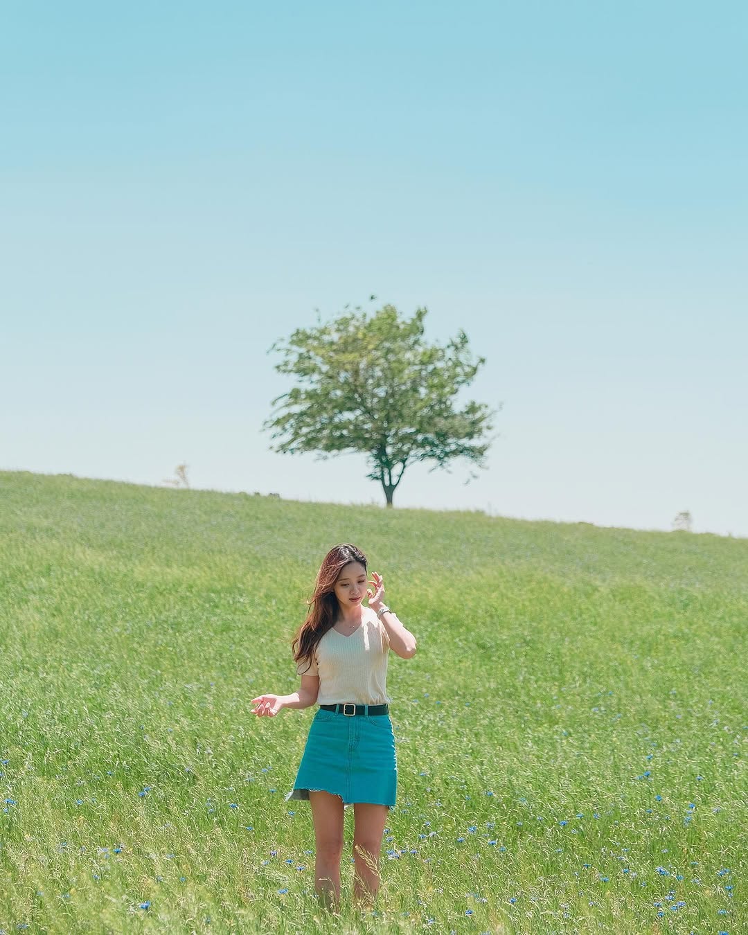 Charming Escapes Near Seoul: Nature, Art, and Relaxation